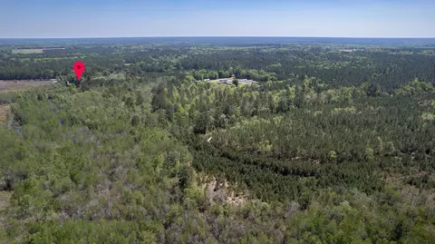 121 Nevils Daisy Rd, Register, GA 30452 photo 44