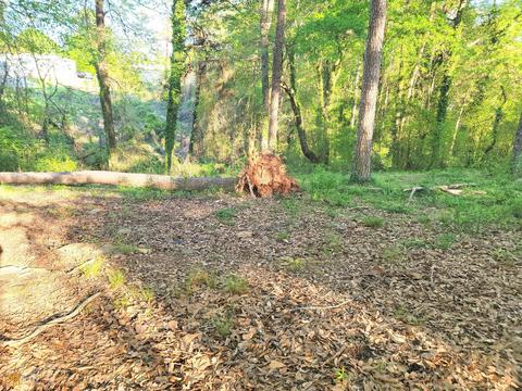 446 Mountain View Cir, Toccoa, GA 30577 photo 6