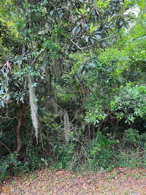 11 Stone Gate Ln, St. Simons, GA 31522 photo 2