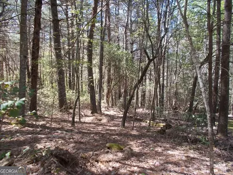 118 Red Maple Ln, Blairsville, GA 30512
