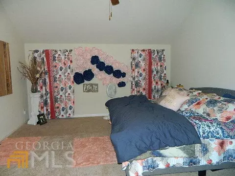 11350 Freeman Way, Hampton, GA 30228 photo 27
