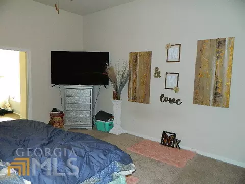 11350 Freeman Way, Hampton, GA 30228 photo 28