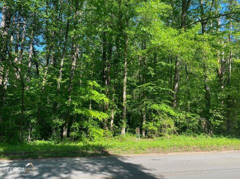 10221 Blackwell St, Covington, GA 30014 photo 1