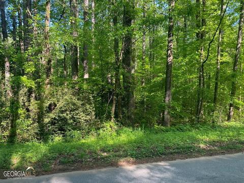 10221 Blackwell St, Covington, GA 30014 photo 6