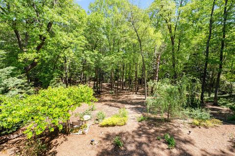 881 E Doyle St, Toccoa, GA 30577 photo 32