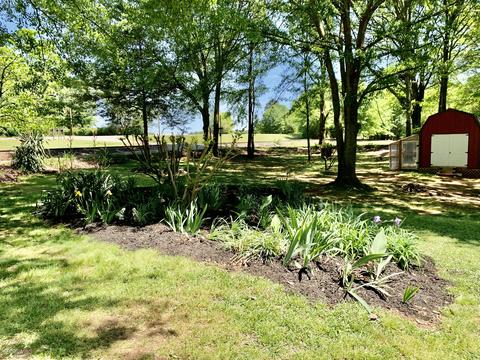 19 Mona Dr, Toccoa, GA 30577 photo 27
