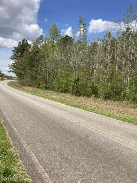 0 S County Road 65, Roanoke, AL 36274