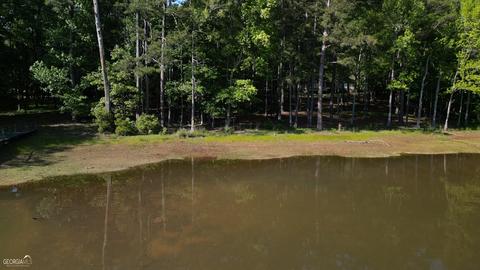 1083 Cameron Mill Rd, Lagrange, GA 30240 photo 25
