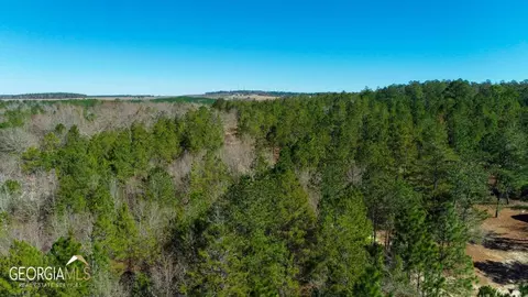 1926 Hortman Mill Rd, Roberta, GA 31078
