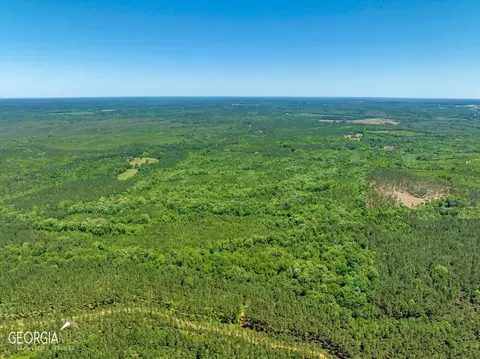 0 Howardus Hwy 80 Rd W, Roberta, GA 31078 photo 21