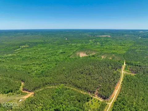 0 Howardus Hwy 80 Rd W, Roberta, GA 31078 photo 19
