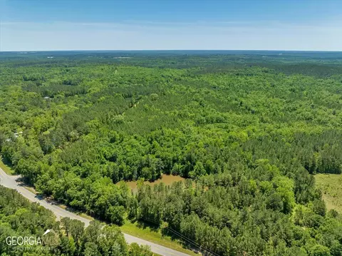 0 Howardus Hwy 80 Rd W, Roberta, GA 31078 photo 4