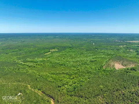 0 Howardus Hwy 80 Rd W, Roberta, GA 31078 photo 20