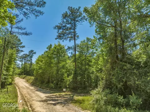 0 Howardus Hwy 80 Rd W, Roberta, GA 31078 photo 7