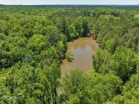 0 Howardus Hwy 80 Rd W, Roberta, GA 31078 photo 5
