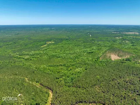 0 Howardus Hwy 80 Rd W, Roberta, GA 31078 photo 14