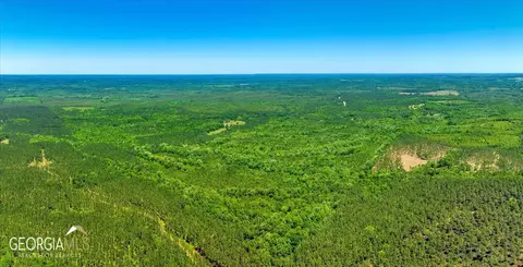 0 Howardus Hwy 80 Rd W, Roberta, GA 31078 photo 37