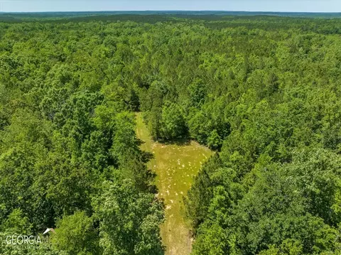 0 Howardus Hwy 80 Rd W, Roberta, GA 31078 photo 33