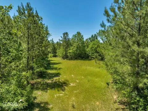0 Howardus Hwy 80 Rd W, Roberta, GA 31078 photo 34