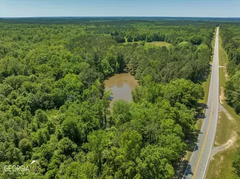 0 Howardus Hwy 80 Rd W, Roberta, GA 31078 photo 10