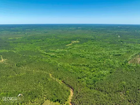0 Howardus Hwy 80 Rd W, Roberta, GA 31078 photo 15