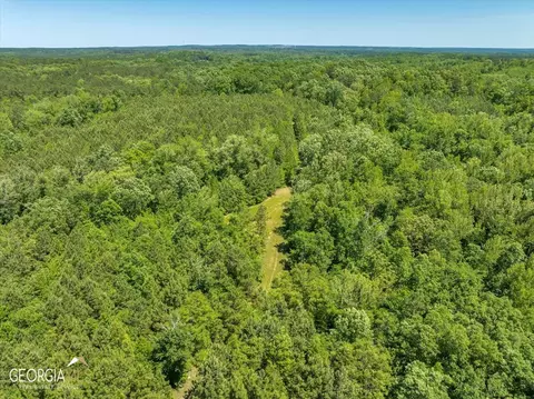 0 Howardus Hwy 80 Rd W, Roberta, GA 31078 photo 36