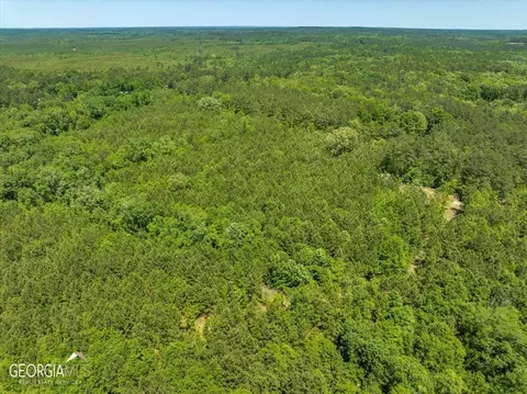0 Howardus Hwy 80 Rd W, Roberta, GA 31078 photo 39