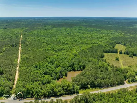 0 Howardus Hwy 80 Rd W, Roberta, GA 31078 photo 24