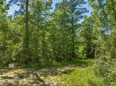 0 Howardus Hwy 80 Rd W, Roberta, GA 31078 photo 8