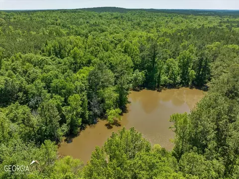 0 Howardus Hwy 80 Rd W, Roberta, GA 31078 photo 6
