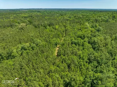0 Howardus Hwy 80 Rd W, Roberta, GA 31078 photo 43