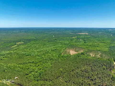 0 Howardus Hwy 80 Rd W, Roberta, GA 31078 photo 18