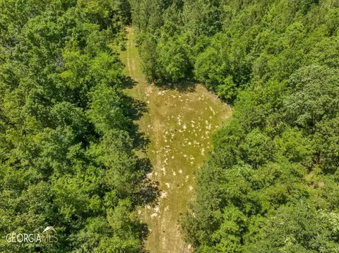 0 Howardus Hwy 80 Rd W, Roberta, GA 31078 photo 35