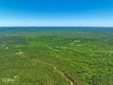 0 Howardus Hwy 80 Rd W, Roberta, GA 31078 photo 17