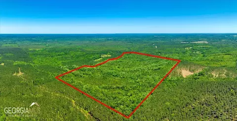 0 Howardus Hwy 80 Rd W, Roberta, GA 31078 photo 2