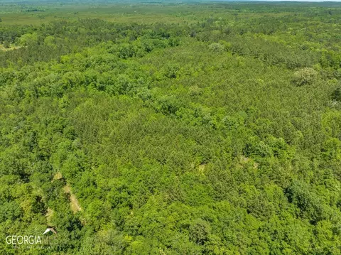 0 Howardus Hwy 80 Rd W, Roberta, GA 31078 photo 44