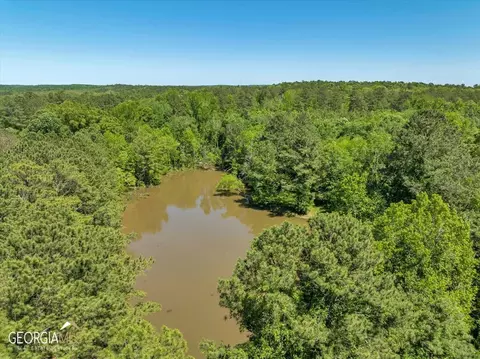 0 Howardus Hwy 80 Rd W, Roberta, GA 31078 photo 13