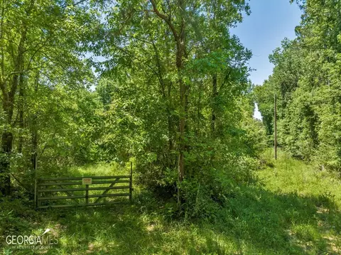 0 Howardus Hwy 80 Rd W, Roberta, GA 31078 photo 28