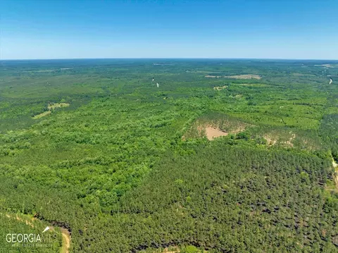 0 Howardus Hwy 80 Rd W, Roberta, GA 31078 photo 16