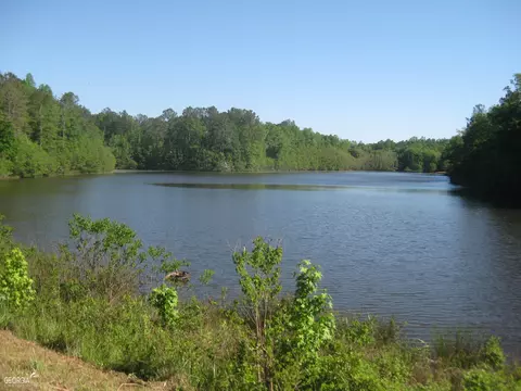 0 Double Bridgesold Alabama Rd, Thomaston, GA 30286