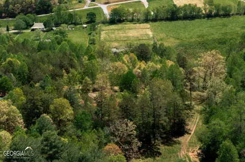 286 Pine Trl, Warne, NC 28909 photo 63