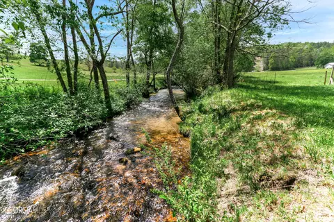 286 Pine Trl, Warne, NC 28909 photo 57