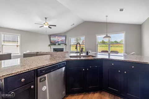 80 Crest View Dr, Carnesville, GA 30521 photo 10