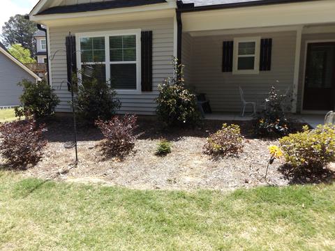 89 Julious Dr, Toccoa, GA 30577 photo 8