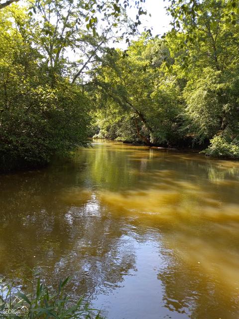 1041 Riverbanks Rd, Bishop, GA 30621 photo 32