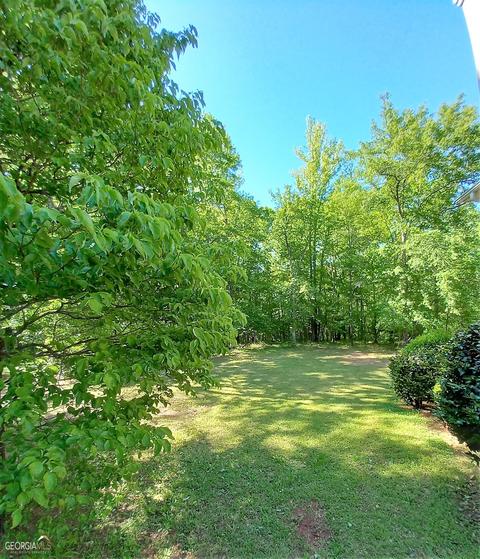 1041 Riverbanks Rd, Bishop, GA 30621 photo 4