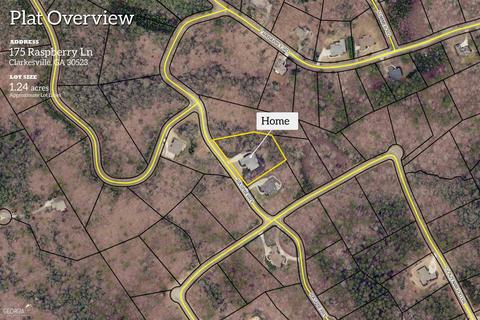175 Raspberry Ln, Clarkesville, GA 30523 photo 170