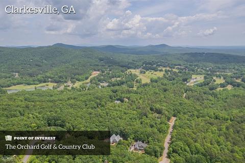 175 Raspberry Ln, Clarkesville, GA 30523 photo 164