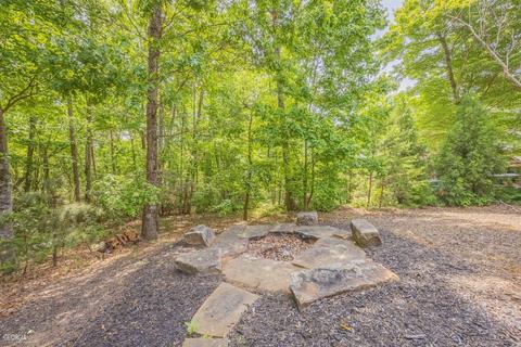 175 Raspberry Ln, Clarkesville, GA 30523 photo 126