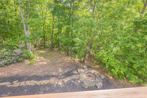 175 Raspberry Ln, Clarkesville, GA 30523 photo 28